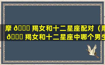 摩 🐝 羯女和十二星座配对（摩 🍀 羯女和十二星座中哪个男生最般配）